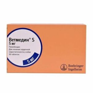00049213