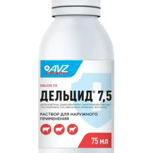 00072537