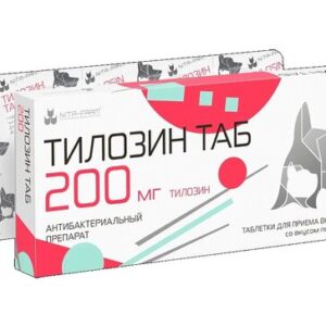 00074064