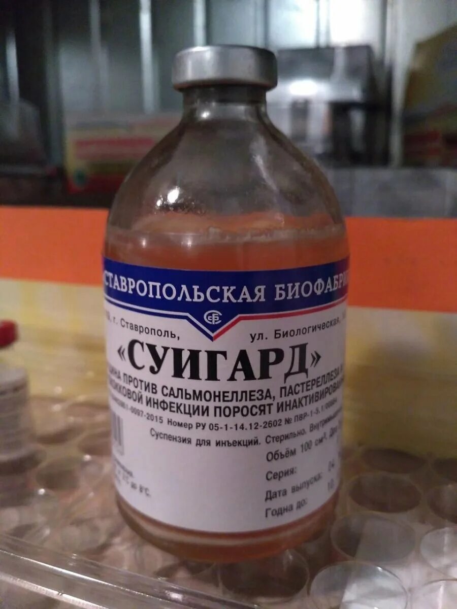 00075742 00075742