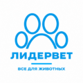 chatgpt image 6 сент. 2026 г., 23 12 45
